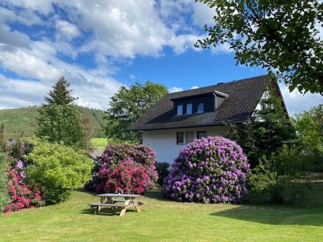 Auf Der Platte Apartment Winterberg Exterior foto