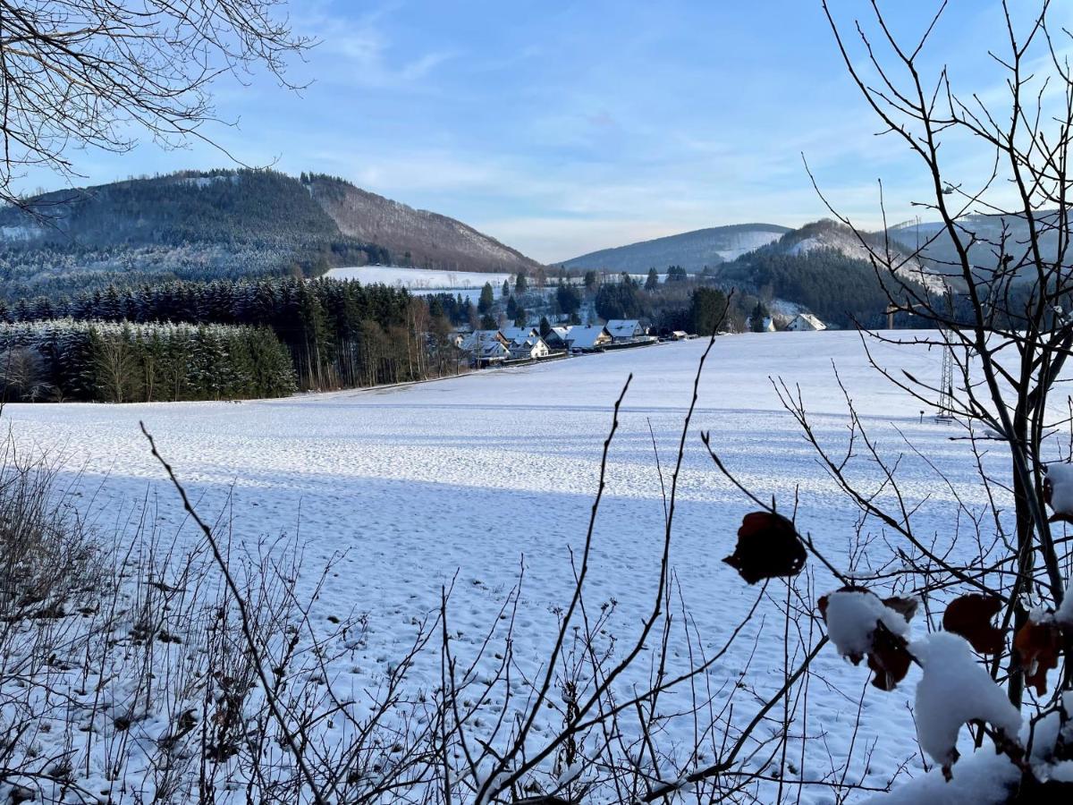 Auf Der Platte Apartment Winterberg Exterior foto